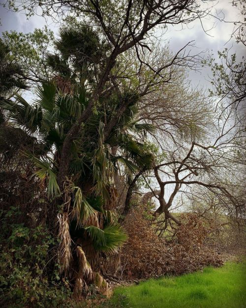 Porn Pics Unique looking worlds. East County skies