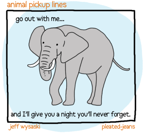 XXX pleatedjeans:  Round 2: Animal Pickup Lines photo