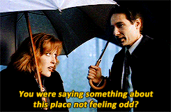 Aren't all the best love stories tragedies?