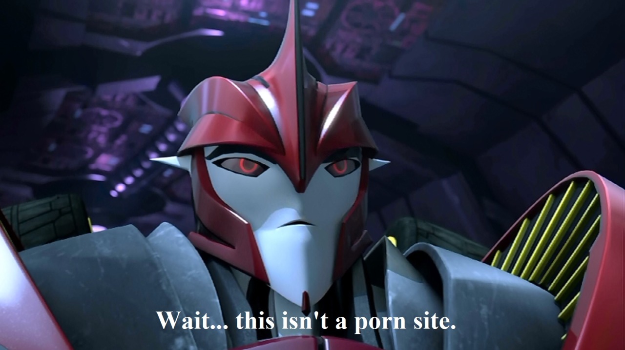 chinchillalace:  It will make sense if you’ve ever read a Transformers fan-fiction.