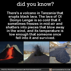 did-you-kno:  There’s a volcano in Tanzania that  erupts black lava. The lava of Ol  Doinyo Lengai is so cold that it  sometimes freezes in mid-air and  shatters into pieces that blow away  in the wind, and its temperature is  low enough that someone