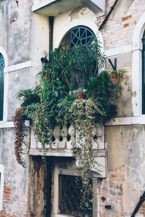bradthesaint:somewhere | venice | italy by BradTheSaint