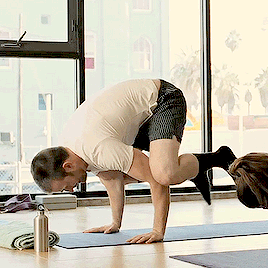 marvelftwolf:Chris Evans + Yoga in  Playing it cool.