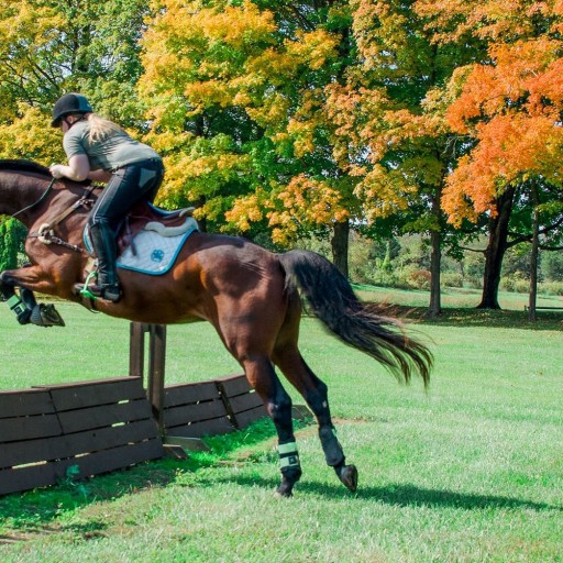 uzumaki-rebellion:ohyeslawd:And she ain’t playn ✊🏾Here are a couple more photos of her&hellip;Her name is Brianna Noble and her horse’s name is Dapper Dan.