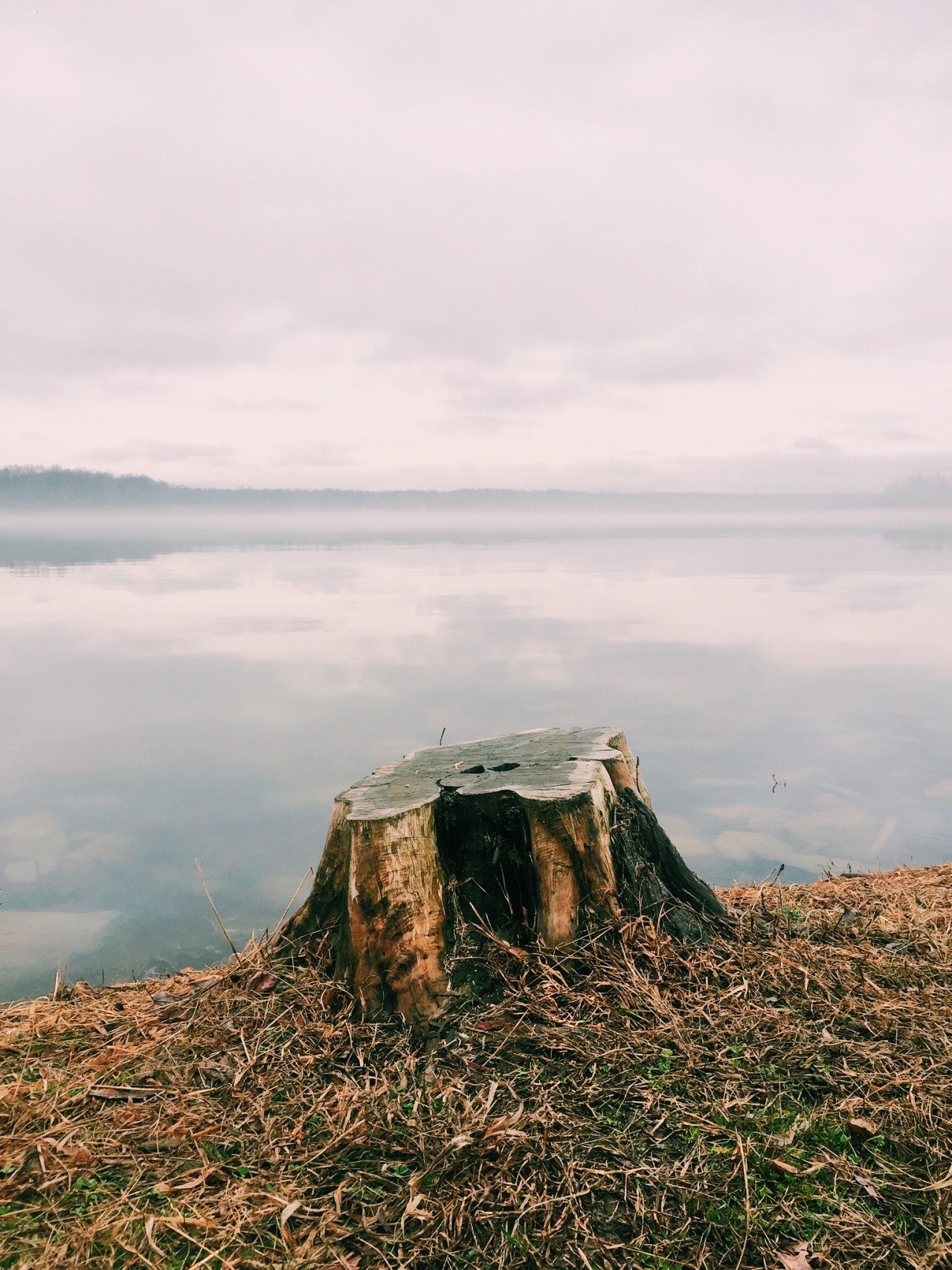 danielodowd:  http://smsingh.vsco.co/