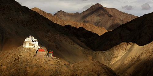 allasianflavours: Namgyal Tsemo Gompa by VisualJournalist