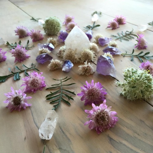 mylittlejarofhappiness: By Meraki Dreams
