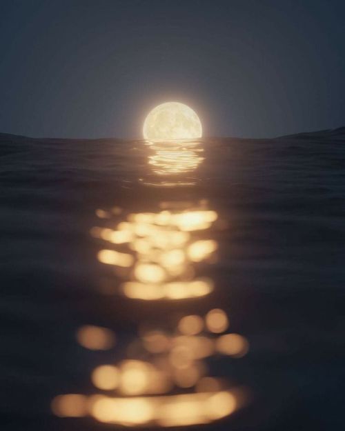 lone-moon-pierrot - Tales of Harmonus