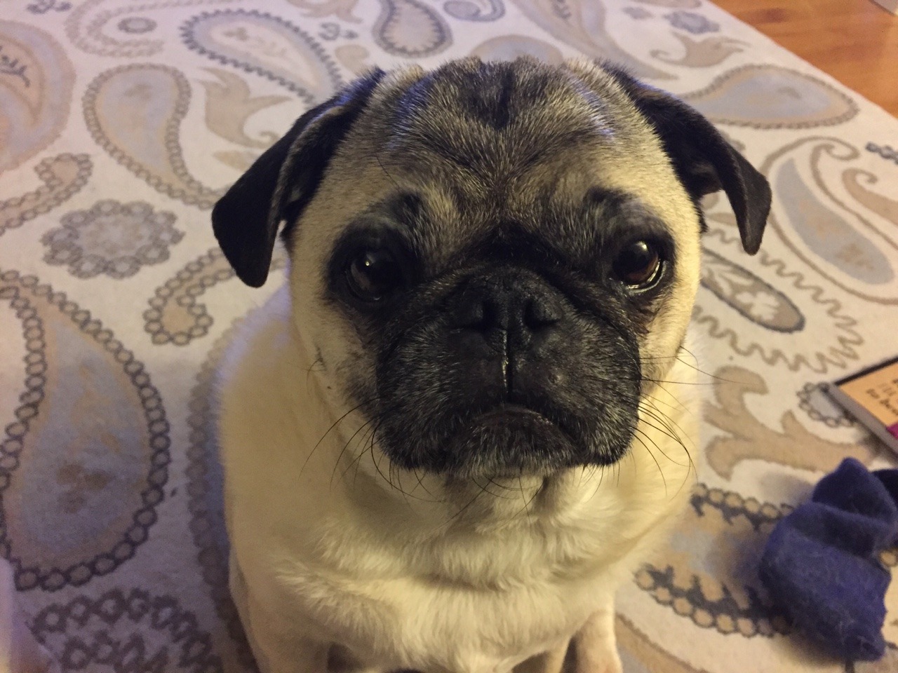 teahupooandgimli:  Two beggars