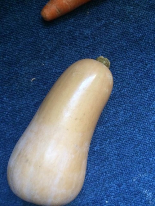 tumblr photo loosepussyland 2
