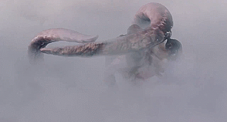 aidanphantom:  The Mist (2007) 