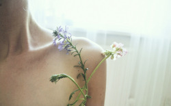 adorus:  and sprouted flowers by Anna Inghardt on Flickr. 