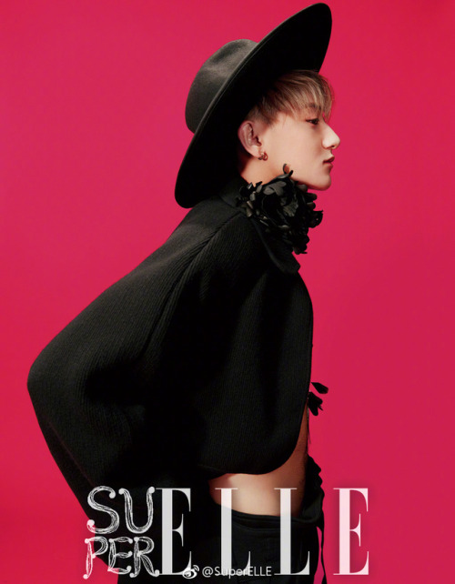 Tao for SuperElle | available for purchase: here