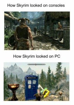 The Weird and Wonderful World of Skyrim