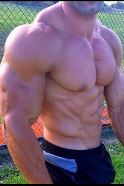 Musclex ...be inspired