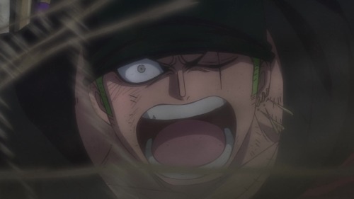 I'm Sooo Normal About Worried/protective Boyfriend/first Mate Zoro