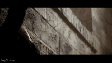c778cb4b818e0d89b113dfecbc21debc81943c93.gifv