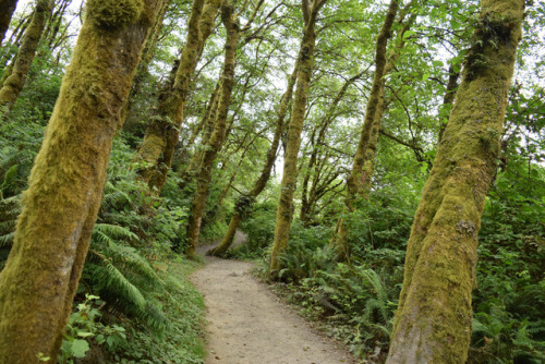 Humboldt County, California by Randy Gardner