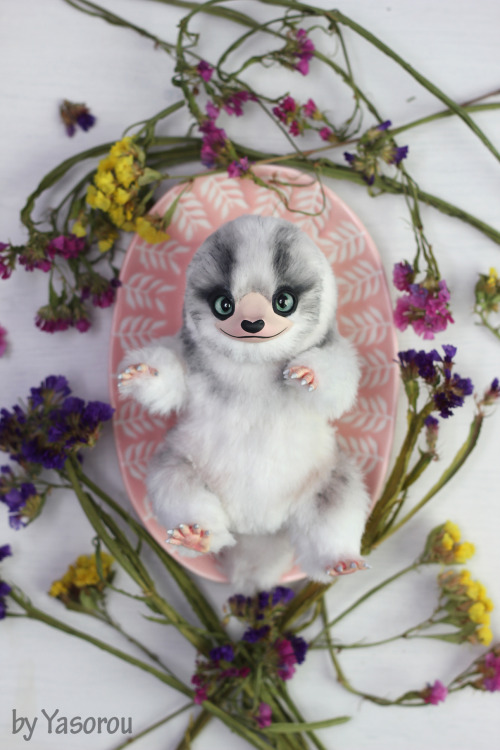  Little niffler with the heart-shaped birthmark on his nose wanted to be an arctic fox. Love this we