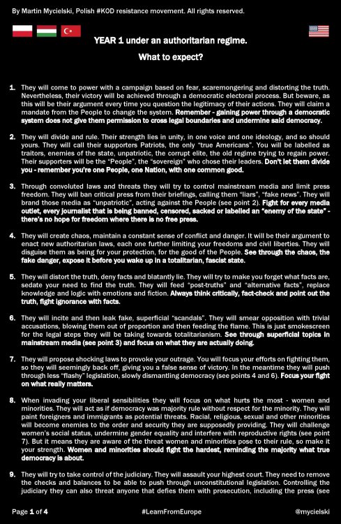 The COMPLETE 4-page Guide to Surviving an Authoritarian Regime, in graphic form -With love, your Eas