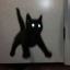 elwhiskers