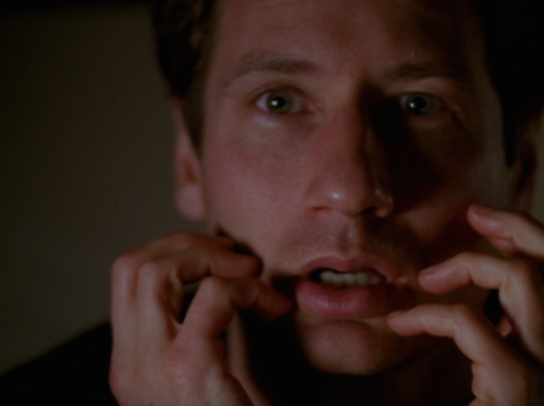 The signs as our favorite out-of-context x-files screen-caps.