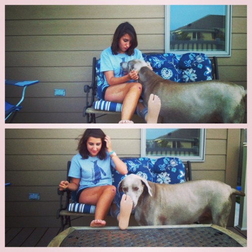 stephmmmm: Belle giving my footsie a kiss.
