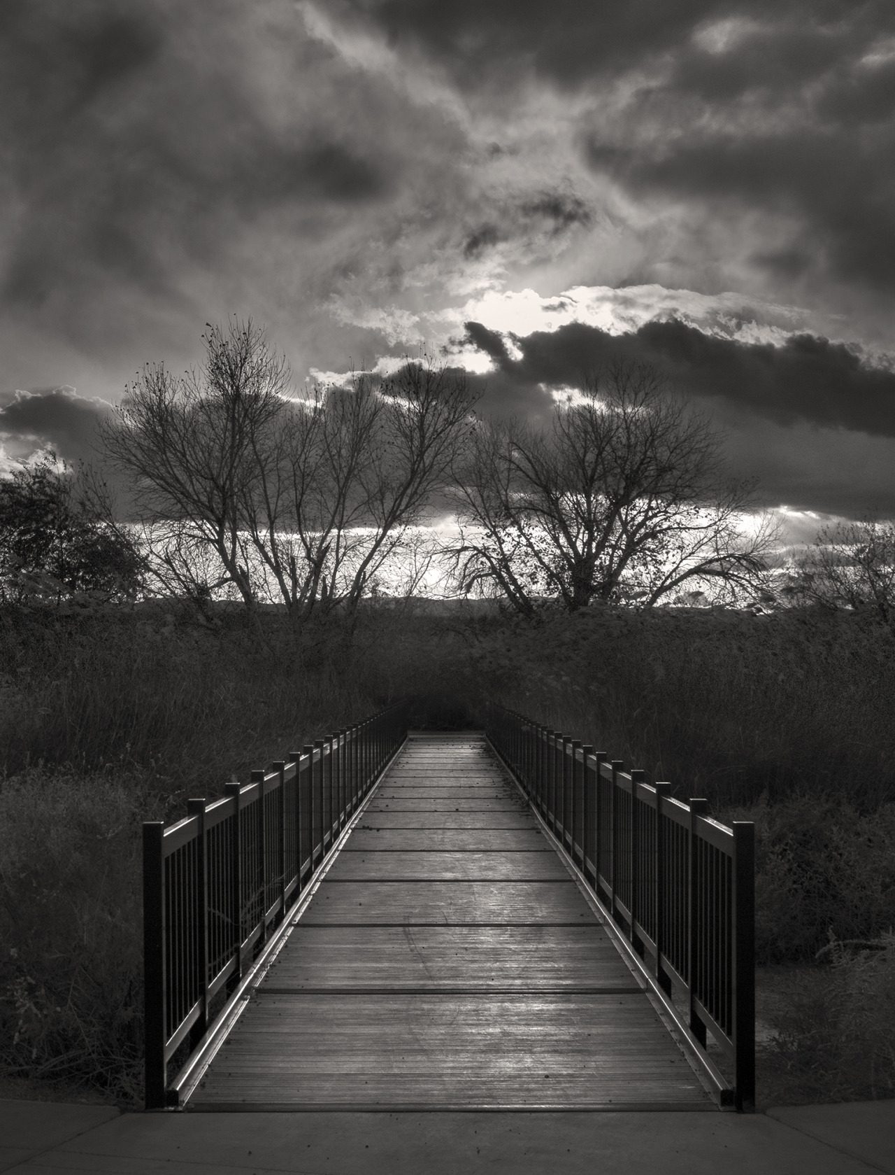 normhalm:  Happy Imbolc, 2016Footbridge Across The Marsh- Clark County Wetlands,