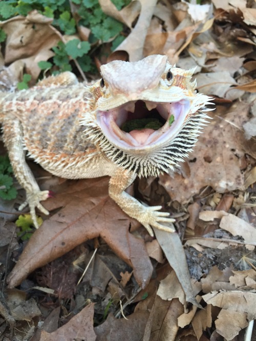 Little Persephone must have forgotten her manners while playing outside… Silly girl.