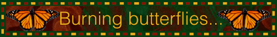 butterflies