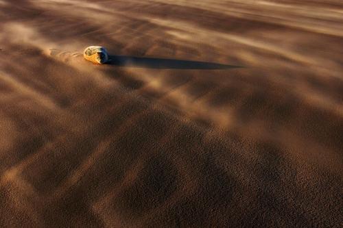 5 Dutch photographers of National Geographic Traveler share their own photos that changed their live