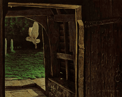 antiqueanimals:Robert Bateman (b.1930), Barn Owl in the Churchyard