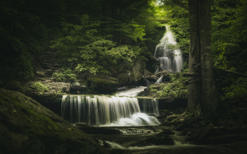colingallagher: Ricketts Glen Waterfalls Colin Gallagher | Facebook | Twitter | Flickr | Store