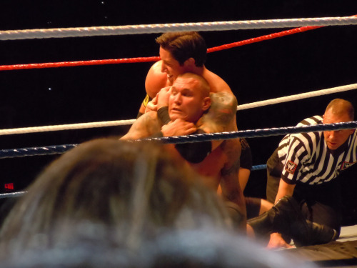rwfan11:  Cuddle time with Wade Barrett