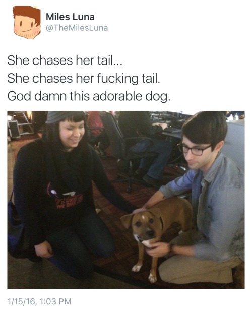 thefingerfuckingfemalefury: dragonydragon: I give you: the most Wholesome Story to ever be told