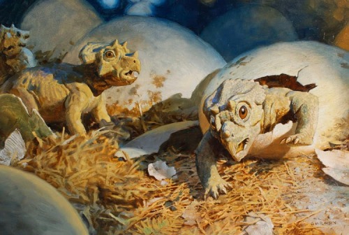 morthern: darktwinteeko: fanta-z: by James Gurney AAAAAAAA DINOTOPIA &lt;3 this is my fave 