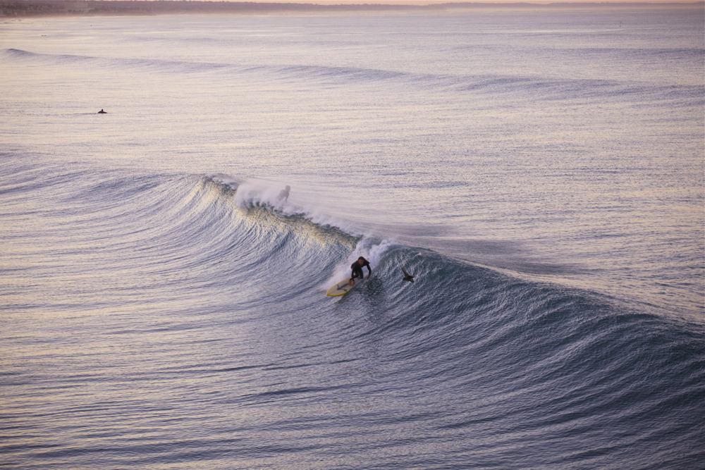 theancientriot: Rob Machado and the birds in the open ocean; no crowds. Photo: Gilley