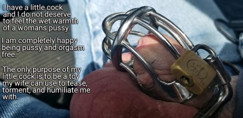 hergladiator:I didn’t believe being in chastity could shrink my dickie… Now my wife has