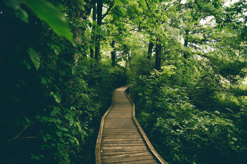 sitoutside:      by  adamswaz  