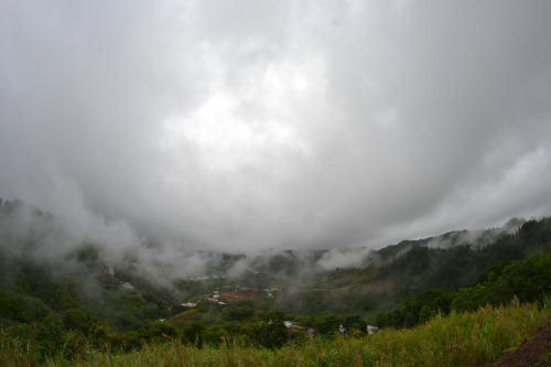 Morovis and Orocovis, Puerto Rico.