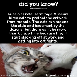 did-you-kno:  Russia’s State Hermitage Museum hires cats to protect the artwork from rodents. The cats run around the attic and basement by the dozens, but there can’t be more than 60 at a time because they’ll start slacking off at work and getting