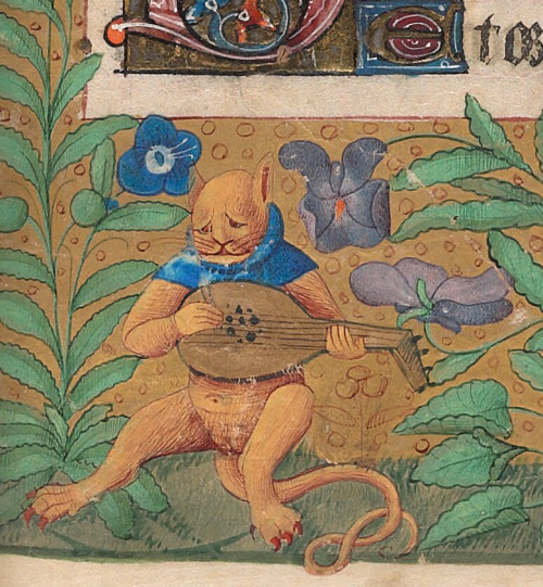melancholic pussy-cat book of hours, France 15th century.Beinecke Rare Book and Manuscript Library, 