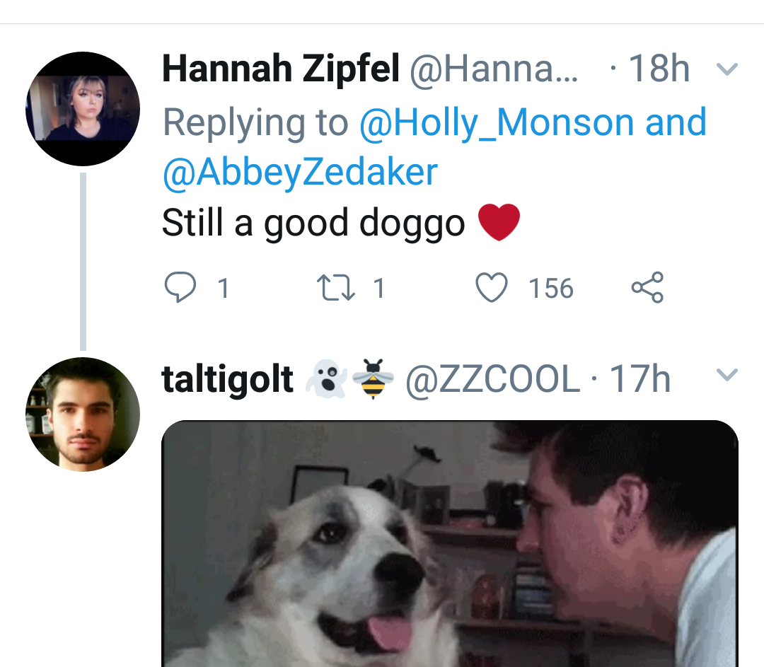 He's still a good doggo
