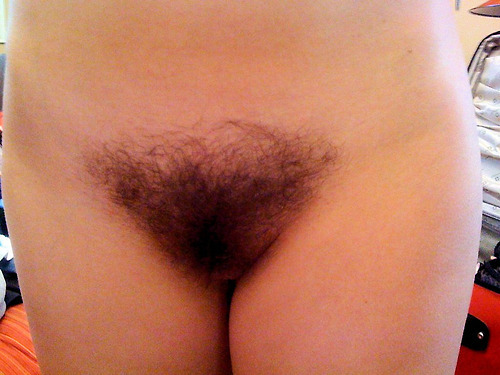 bigsohotpubes: More Hairy Babes HERE