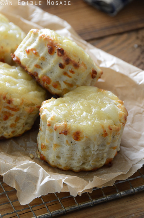 magicalfoodtime: (via An Edible Mosaic™ » Savory Thyme and Swiss Cheese Scones)