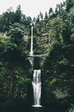 ikwt:Multnomah Falls (Ryan Millier) | instagram
