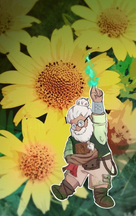 Magic Merle! A beautiful flowery boy