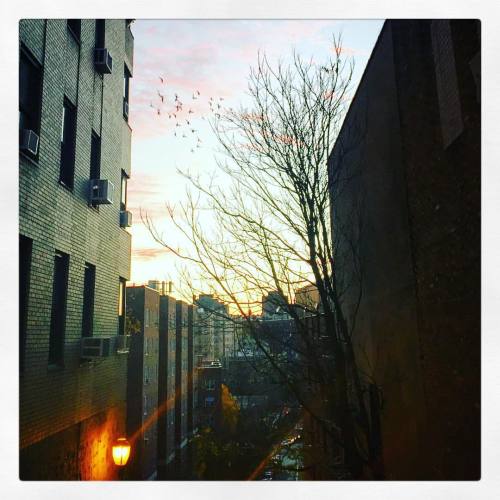 Morning in the Heights #nyc #newyork #urbanscape #washingtonheights #urban #instagood #instamood #in