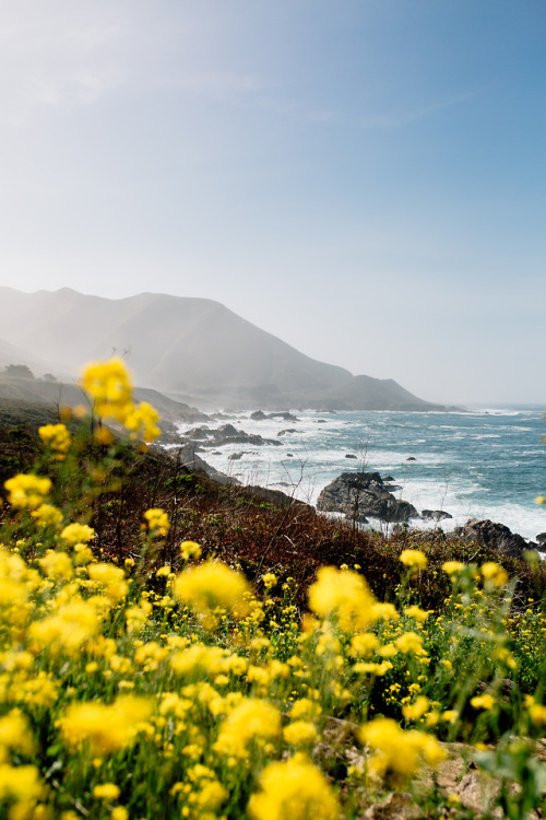 jonahreenders: Big Sur, March 2019. Jonah Reenders | Instagram