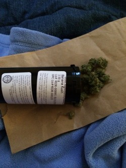 youkeepmeguessin:  I think it smells better when it’s legal 